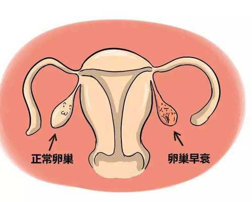 ,香港验血查男女的价格裙