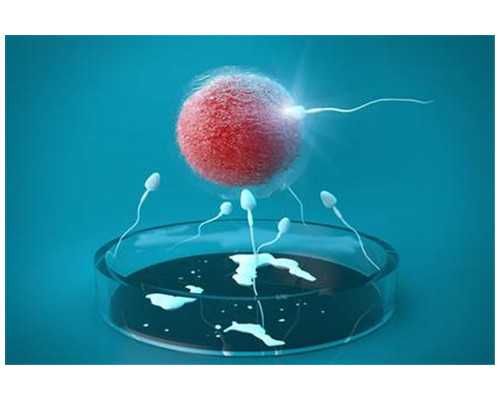 验血能知道男女吗_关于2026成功验血我有话要说,香港可以验血检测男女