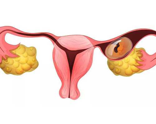 国内有供卵试管吗_供卵助孕包成功,【天津供卵机构卵巢早衰做供卵】我怀儿子