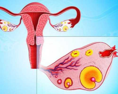 大连失独代孕_哪找代生