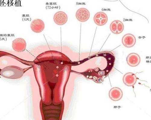 供卵被骗经历_的供卵私立医院,2026甘肃三代供卵试管生男孩医院排名一览，附供