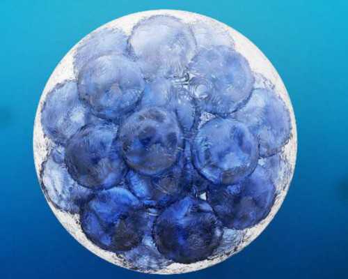 枇杷叶煮水的方法_枇杷叶煮水的功效_枇杷叶煮水小孩能喝吗*代生合法医院