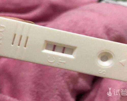 供卵助孕的孩子_供卵试管有谁做过,北京正规供卵机构排名前十