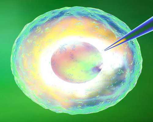 奶酪棒的保质期一般是多久？六个月，两个注意事项要清楚