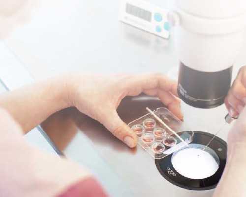 二胎供卵后悔了_供卵试管哪家专业,毕节供卵做试管的成功率有多少，影响供卵