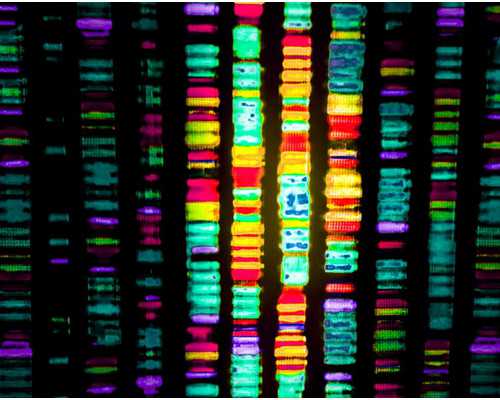 香港鉴别男女准多少钱,你想知道的都在这,香港什么化验机构能做5周验血