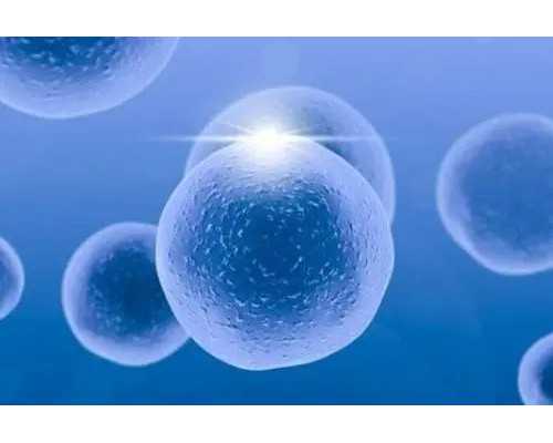 服用定坤丹易怀孕有原因？2000够不够！*供卵试管代怀