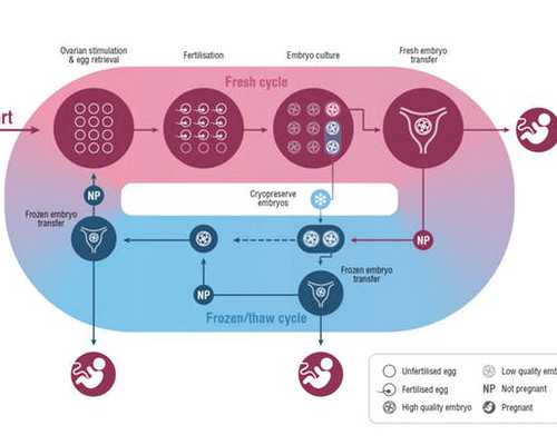 香港验血化验中心电话
 香港验血测胎儿性别最早几周？希望可以提醒到你,香港