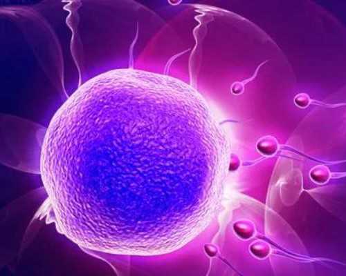 人工授精容易出现胎停，大多数是胚胎质量所导致的