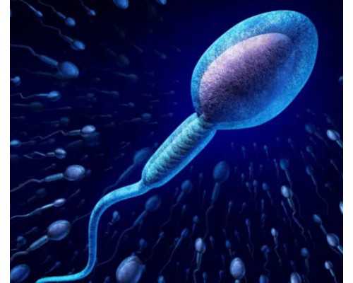 怀孕几周验血查男女最准,8090后宝妈都找这家验血,香港验血鉴定双胞胎男女准吗