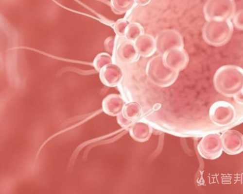 泸州试管婴儿医院申请供卵流程是怎样的，供卵需要等多久