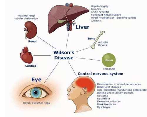 香港查母体血验男女费用怎么收【网上验血联系,香港验血检测男女需要准备些