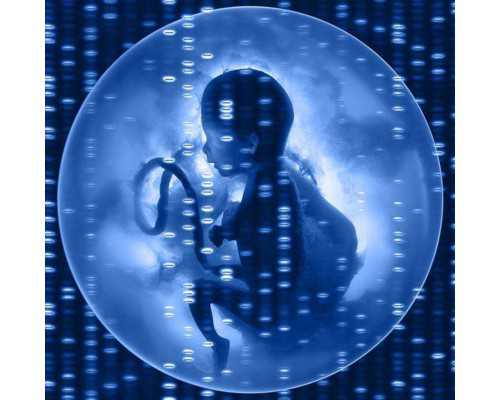 香港验血真的没有出现不准的吗?,你想知道的都在,五周香港验血能验出吗