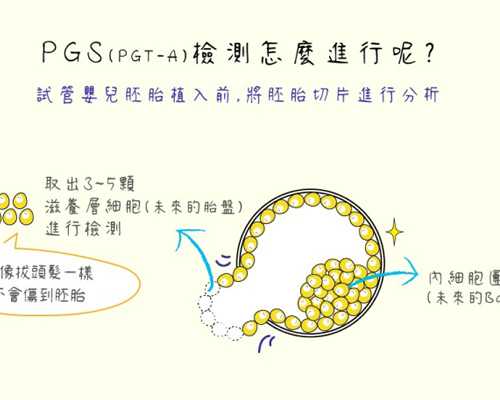 香港七周Y-DNA基因检测专业科学方法鉴定,香港验血测胎儿好贵