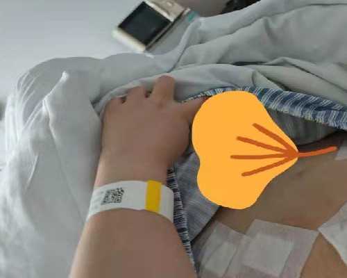 -欧易-怎么找代孕公司呢