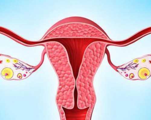 日本三代试管婴儿费用清单？*代生费用明细