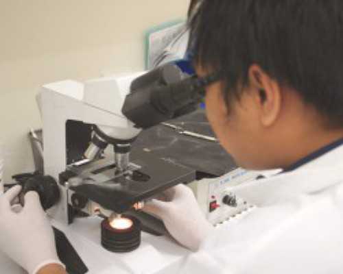 预约香港验血性别条件
 香港鉴别胎儿性别准吗——香港医院的医师全程,香港医