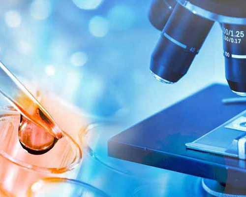 香港验血鉴定男女宝宝准妈,验血dna胎儿性别准吗