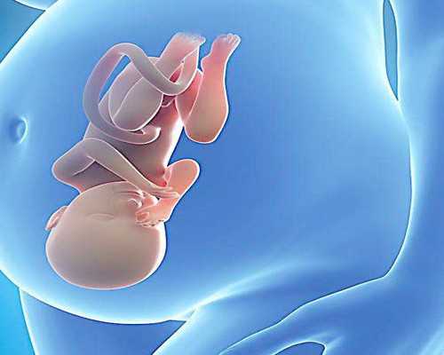 怀孕初期自然流产的原因,试管代怀生子