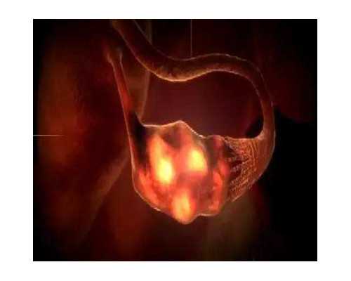 香港早孕验胎儿性别，大家一致认可的靠谱验血,香港验血要多久时间