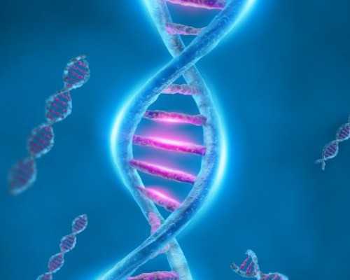 抽血验男女看什么指标——最高准确率的医院分,香港时代验血多少钱