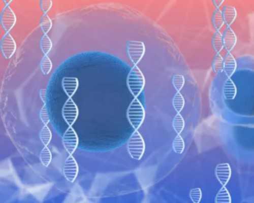 泰国家恩德运供卵_泰国金贝供卵,保山做供卵试管婴儿需要多少钱，2026
供卵助