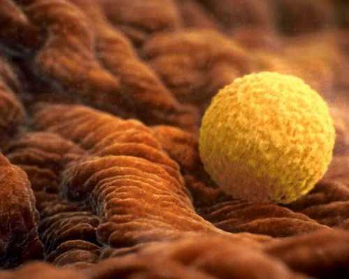 深圳助孕价格,深圳代生男孩,深圳代生妈妈-代孕哪里最便宜_代孕最好的公司