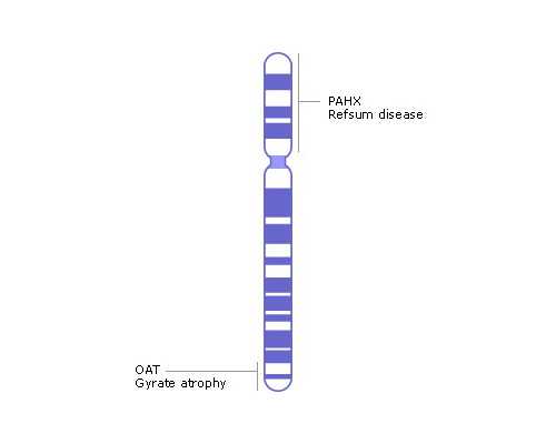专业供卵机构地址_哪里有供卵机构,2026西藏做供卵试管婴儿包生男孩多少钱？附