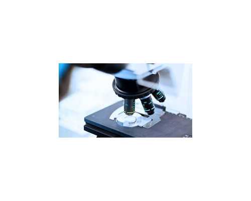 大连失独代孕_代怀小孩