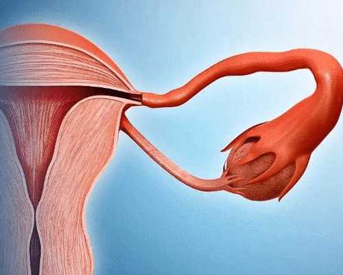 香港验血周末可以吗？亲身经历分享给大家 香港验血是拿针扎吗
,香港验血测男