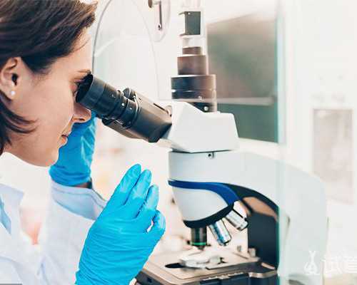 供卵试管联系方式_供卵试管怎么样,2026
天津医科大学总医院供卵试管费用标准