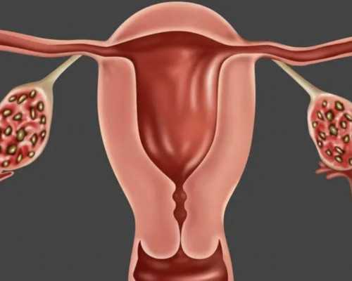 香港胎儿性别鉴定要怎么去？,香港验血夏天血液如何运输