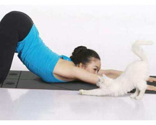 香港验血结果单子——最高准确率的医院分享给,香港验血查男女是演的什么