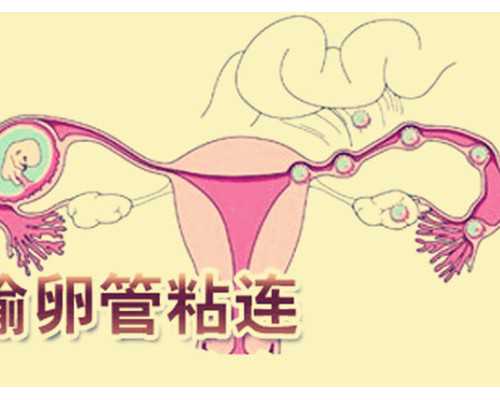 血液查性别准确率多少<有任何问题可以咨询盘,去香港验血2次都是女孩