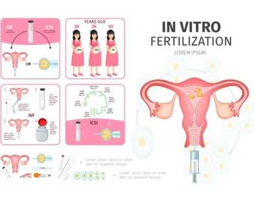 供卵需要什么手续_地下供卵试管电话,【广东省供卵试管婴儿国内供卵医院推荐