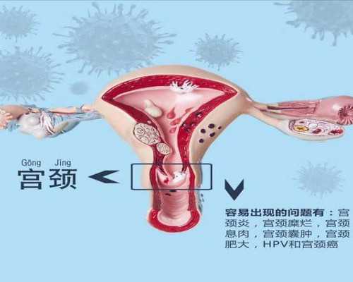 正规的供卵中心_供卵中心排名,2026
北京公立医院供卵价格三代试管供卵费用清