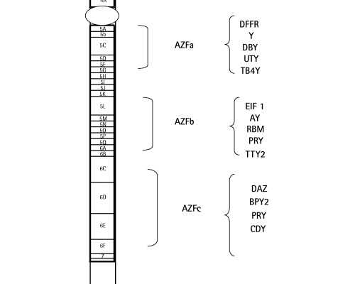 合法供卵中心_民营供卵试管婴儿,2026西藏供卵试管婴儿医院排名，附供卵三代试