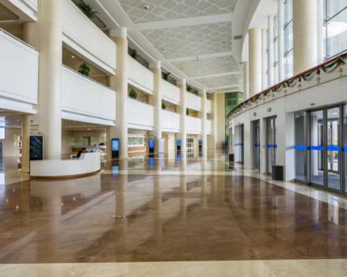 香港dna查男女准确率高吗_{检测xy当属准确度是首 验血查男女两家结果不一样