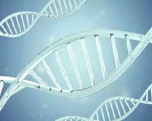 怀孕生男生女的清宫图,香港验血能百分百确定男女吗