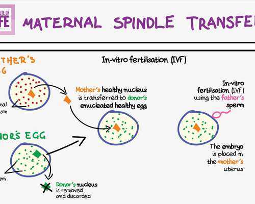 供卵很多不成功的_泰国美女供卵,广安做供卵试管成功率高吗，影响供卵试管成
