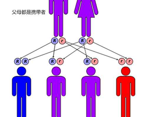 周末去香港可以验血吗_这个给准备去的宝妈一些,香港验血在哪个官网查
