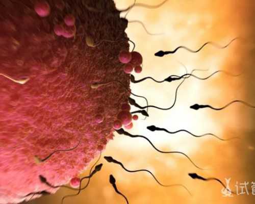 日本试管婴儿医院收费历史变迁及分析