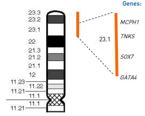 香港验血 北京论坛网,婚前检查包含血型配对吗