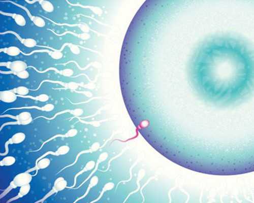 香港验血实力机构,告诉你验血的真相！准妈妈需,去香港化验血女儿的报告单