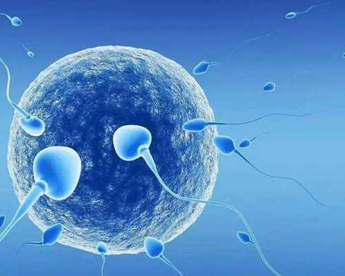 香港验血测性别会翻盘吗,香港验血鉴定男女准吗,几周验最准，婆家安心娘 怀孕