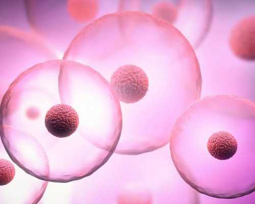 香港验血三大权威化验所_需要注意的都在这,流产男胎半年香港验血准吗