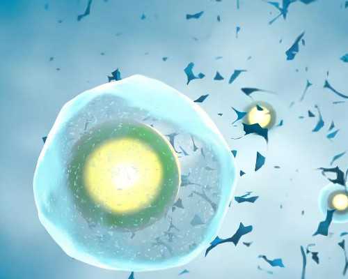 2026
广州六院生殖中心有借卵生子成功的吗？_靠谱代孕公司_机构代孕套餐