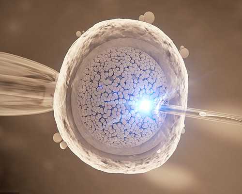 2026年北京十大第三代试管代怀中心靠谱吗医院排名（附医院详细费用!）