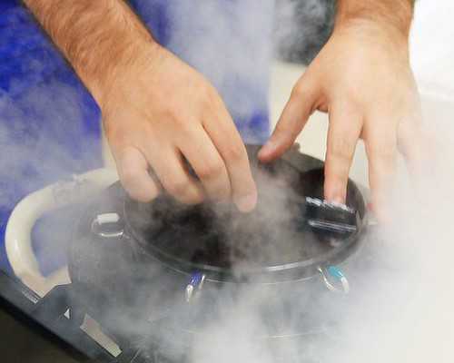 自然北京助孕宝宝和试管北京助孕宝宝的区别是什么