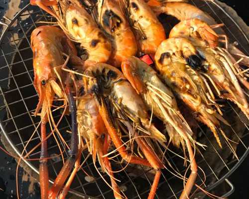 供卵机构是真的吗_供卵顺利生下宝宝,七台河供卵试管成功率